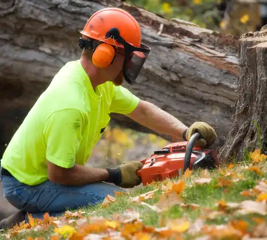 tree services Hays